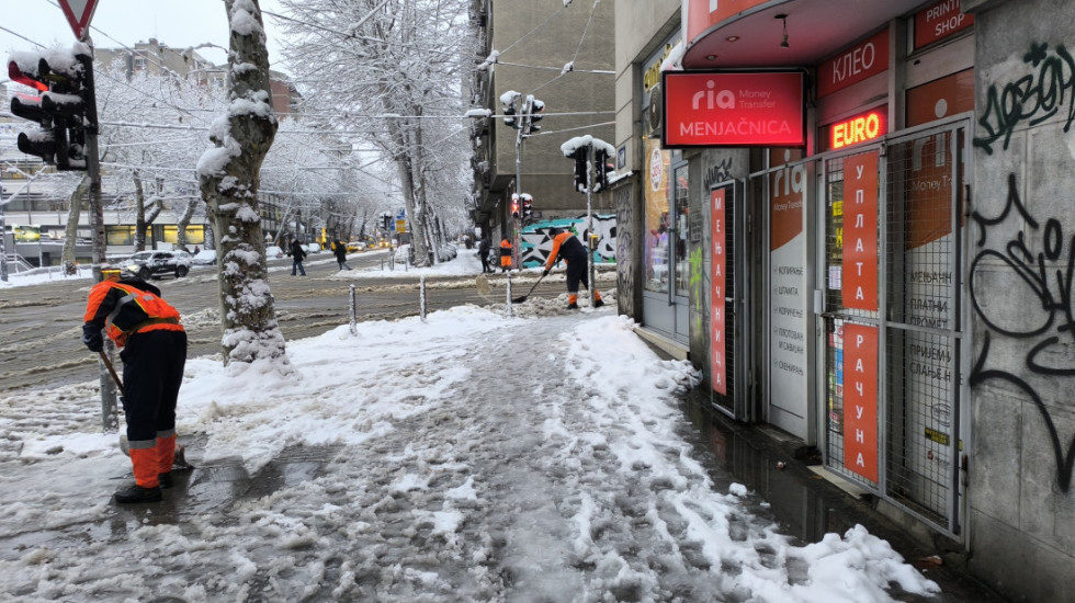 (FOTO) Beograd pod snegom: Stabla i velike grane popadale na više lokacija, gradske službe na terenu