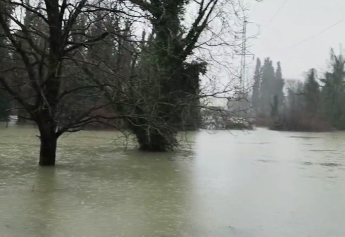 Direktor "Srbijavoda": Situacija na rekama pod kontrolom, nema razloga za brigu