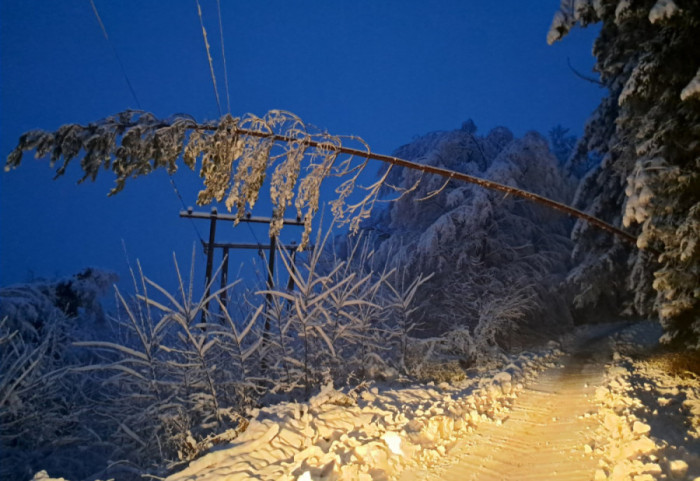 Ledeni dan u Srbiji: Vanredna situacija u devet opština, protest u Loznici zbog nestanka struje i vode