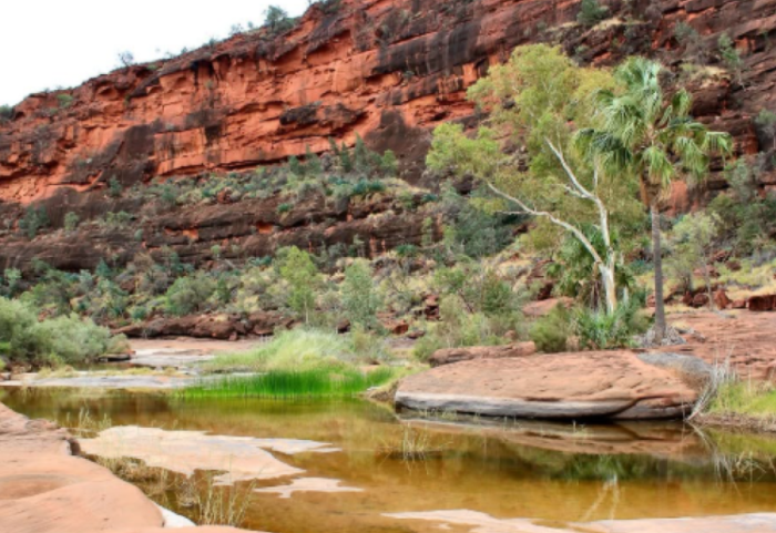 (FOTO) Najstarija reka na svetu: Finke teče još od vremena pre dinosaurusa