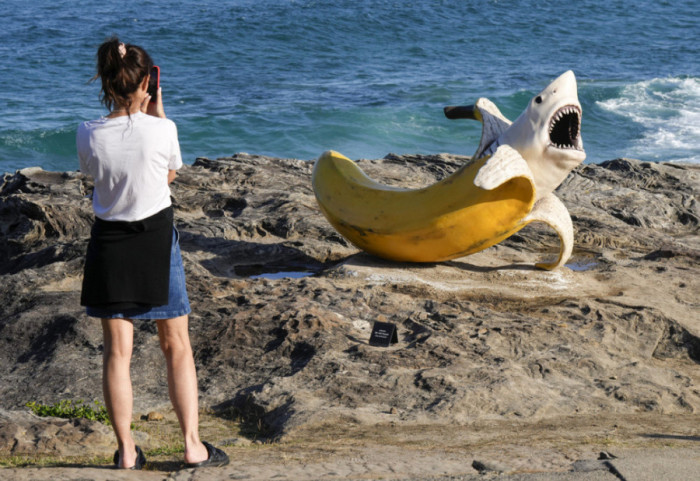 Plaže u Sidneju zatvorene nakon tri napada ajkula za dva dana