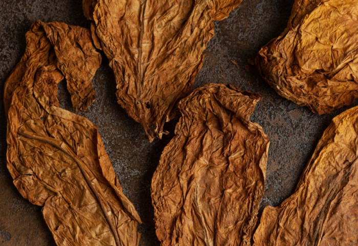 Zaplenjene skoro tri tone duvana u listu kod Šapca, uhapšen muškarac