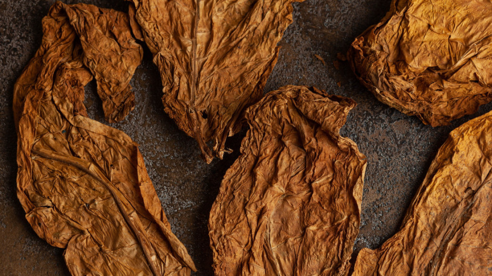 Zaplenjeno više od dve tone duvana kod Šapca, uhapšen muškarac