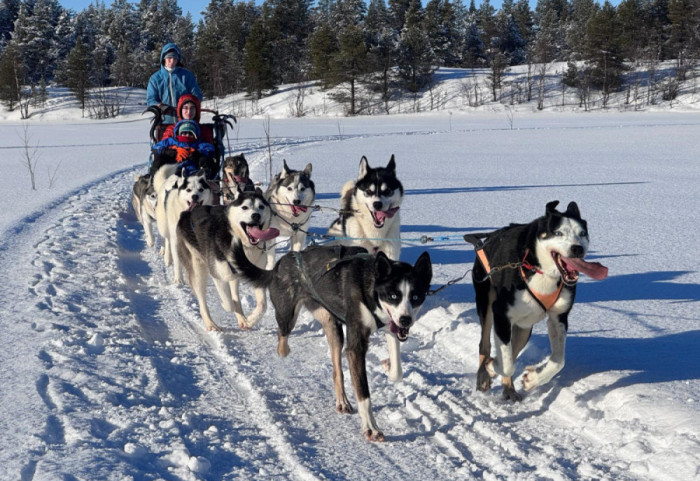 (FOTO) Dok drugi beže od zime, Željka joj ide u susret: Život s haskijima u Finskoj na minus 40 i uz svetlost Aurore