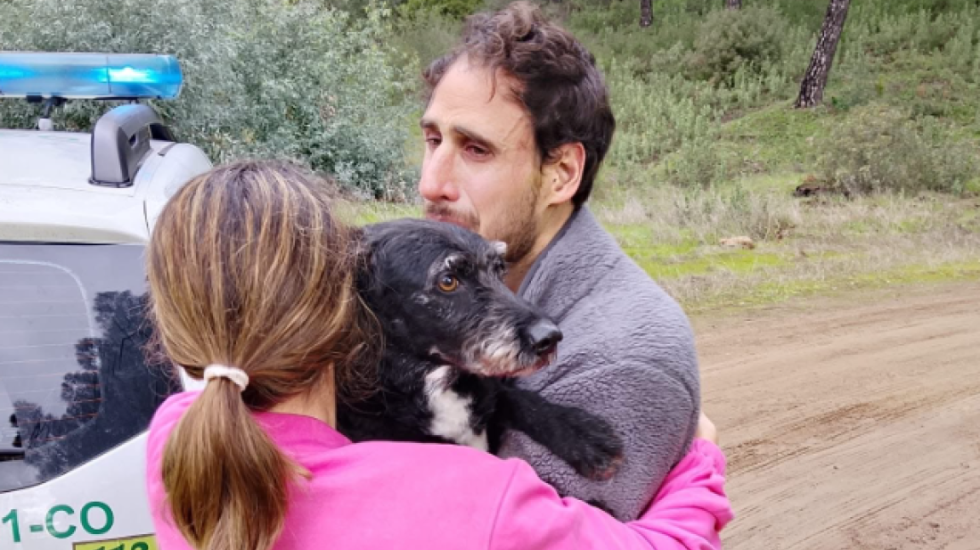 (FOTO) Pas Boro, koji je nestao u železničkoj nesreći u Španiji, spasen posle četiri dana