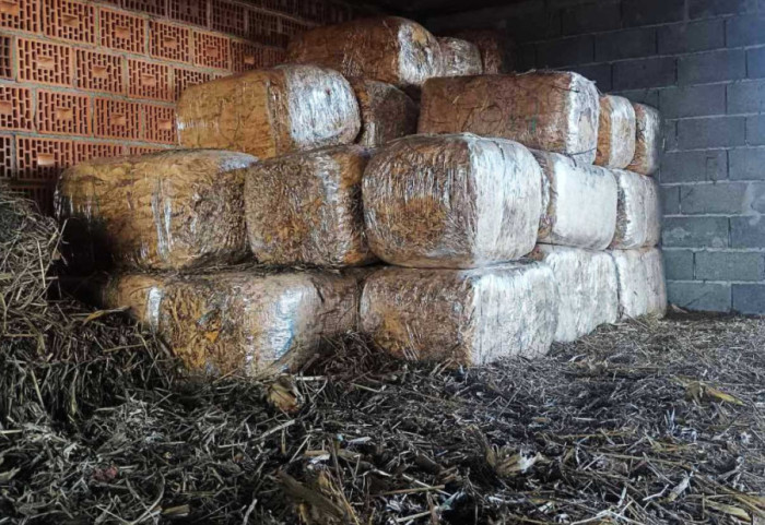 (FOTO) Zaplenjene tri tone duvana: Šapčanin oštetio budžet države za više od 27 miliona dinara