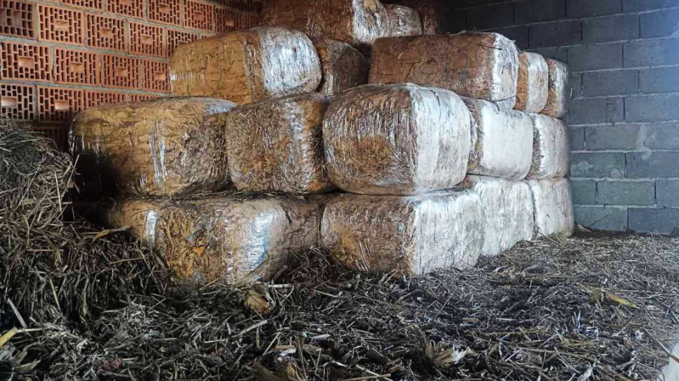 (FOTO) Zaplenjene tri tone duvana: Šapčanin oštetio budžet države za više od 27 miliona dinara