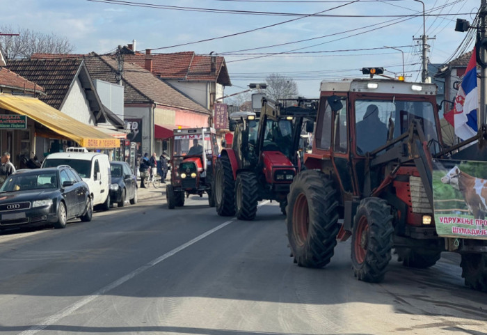 Profesor Poljoprivrednog fakulteta Mekić: "Prosipanje mleka očajnički potez, država mora više da kontroliše uvoz"