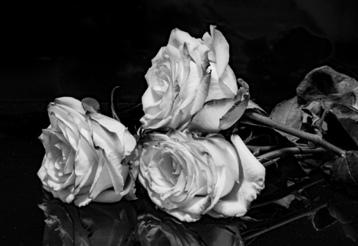 Preminula scenaristkinja Ljiljana Pavić