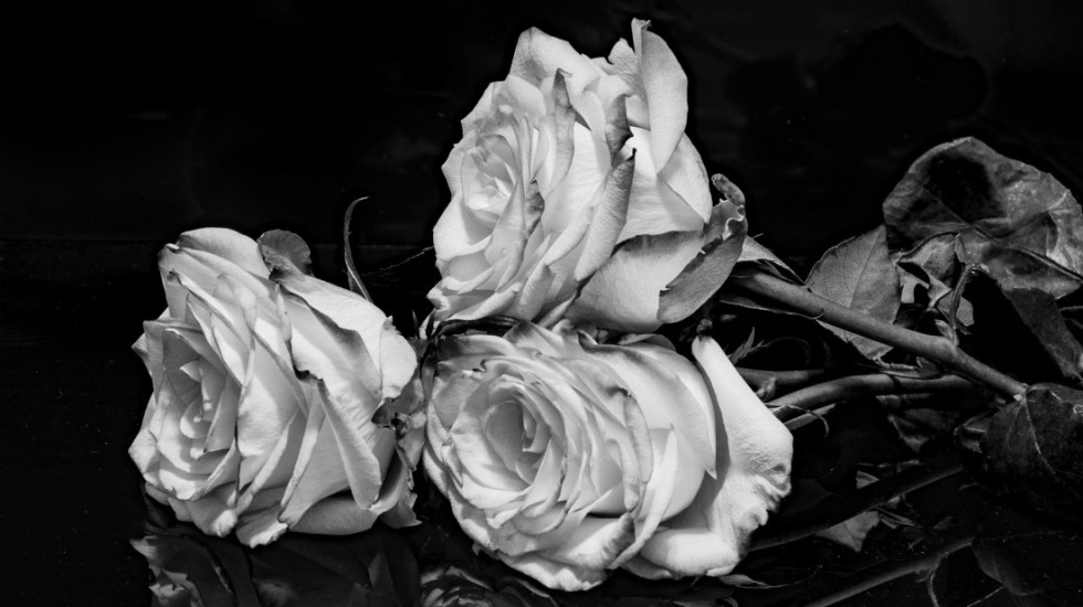 Preminula scenaristkinja Ljiljana Pavić