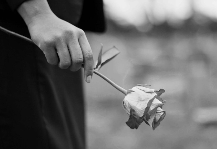 "Ljudi sa KiM kidnapovani iz bolnica i sa ulica": Kako film "Žetva" i roman "Srpsko srce Johanovo" razbijaju tišinu