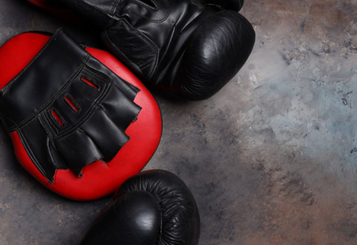 MMA reprezentacija Srbije osvojila 12 medalja na Evropskom prvenstvu u Beogradu