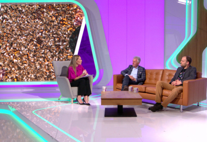 Klimatske promene, nelojalna konkurencija, nove bolesti: Da li će opstati pčelarstvo u Srbiji?