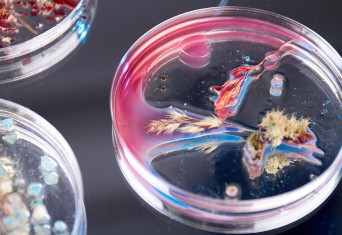 Bakterija stara 5.000 godina otkrivena u ledu u Rumuniji, otporna na 10 antibiotika