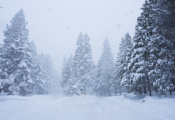 Osam skijaša pronađeno mrtvo, jedan nestao posle lavine u Kaliforniji