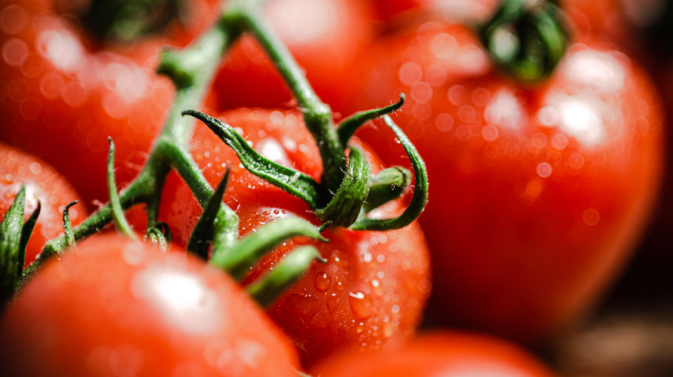 Naučnici u Kini razvili genetski modifikovan paradajz sa aromom kokica