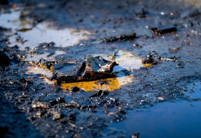 Fekalije se decenijama izlivaju u užičkom naselju Turica: Meštani strahuju za zdravlje dece