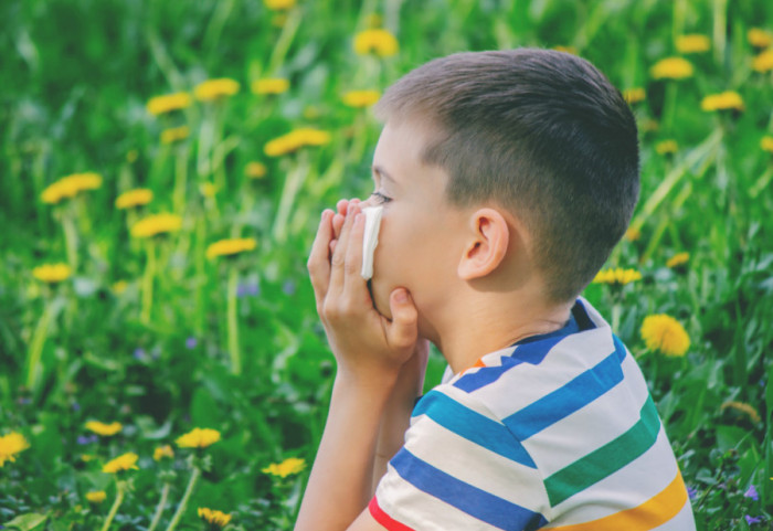 Koji su simptomi prolećne alergije kod dece