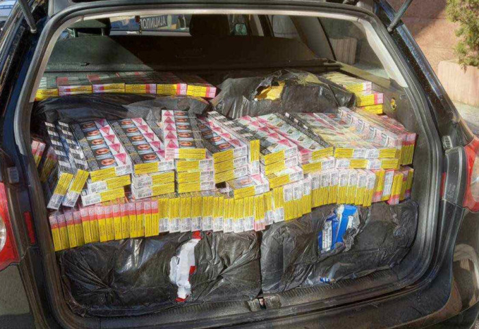 Oštetili budžet za 60 miliona dinara: Izvršen pretres stanova na 53 lokacije u Srbiji, podnete 52 krivične prijave