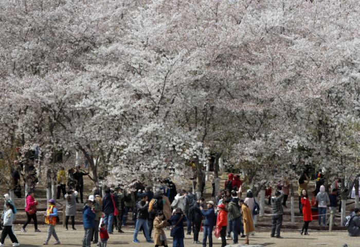 Kina uvela raspust za podsticaj nataliteta, univerzitet pozvao studente da se zaljube