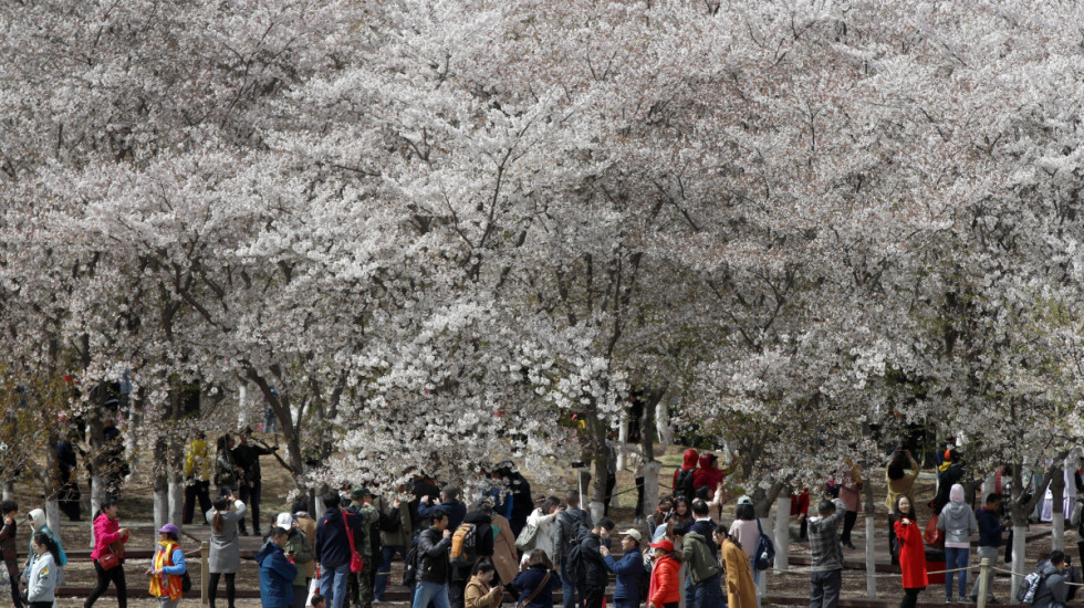 Kina uvela raspust za podsticaj nataliteta, univerzitet pozvao studente da se zaljube
