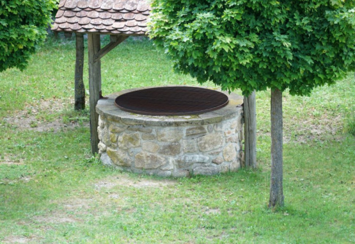 Pronađeni leševi pasa u bunaru kod Aleksinca, policija podnosi krivičnu prijavu protiv osumnjičene