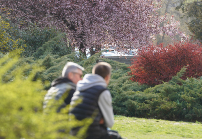Promenljivo oblačno sa sunčanim intervalima: Najviša temperatura do 20 stepeni