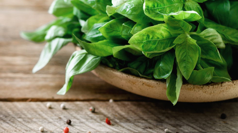 Začinsko bilje koje lako možete da uzgajate u svom domu