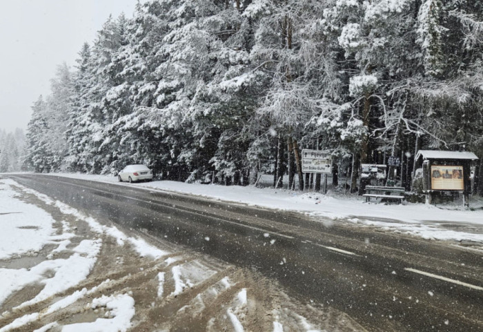 Zabelelo u Zapadnoj Srbiji: Na Zlatiboru, Tari, Kadinjači i Debelom brdu palo više od 20 centimetara snega
