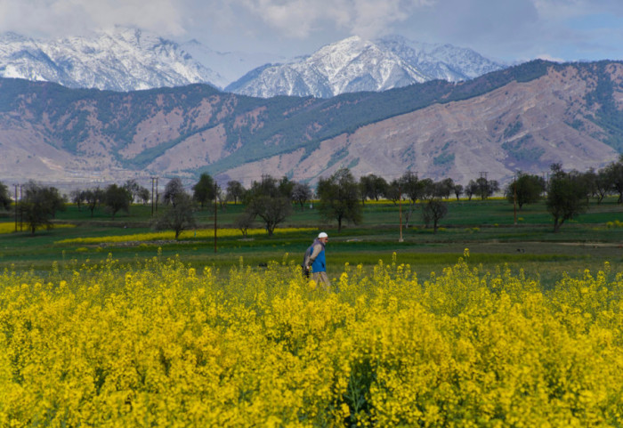Rat na Bliskom istoku izazvao nestašicu đubriva, preti povećanju cene hrane