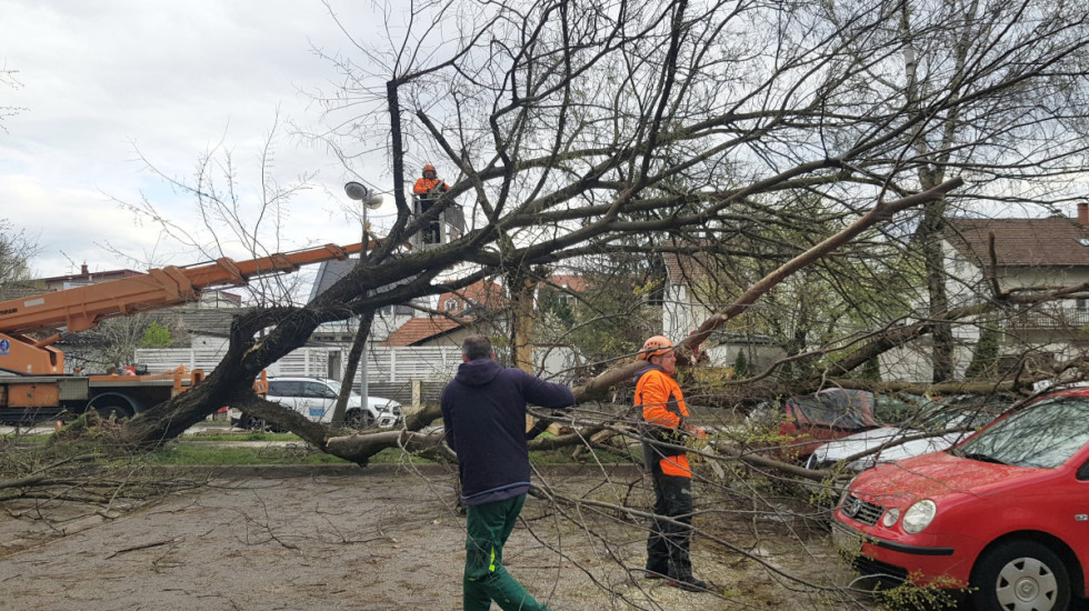 Posledice oluje u Zagrebu: Srušeno ili teško oštećeno oko tri hiljade stabala