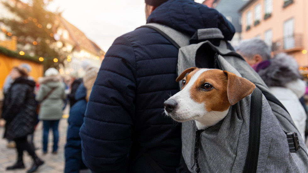 Vlasniku pregaženog psa u Španiji dosuđena odšteta od 5.000 evra za pretrpljeni duševni bol