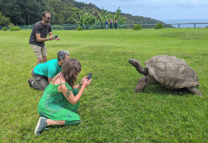 Najstarija živa kornjača lažno proglašena mrtvom: Džonatan se i dalje šeta na ostrvu