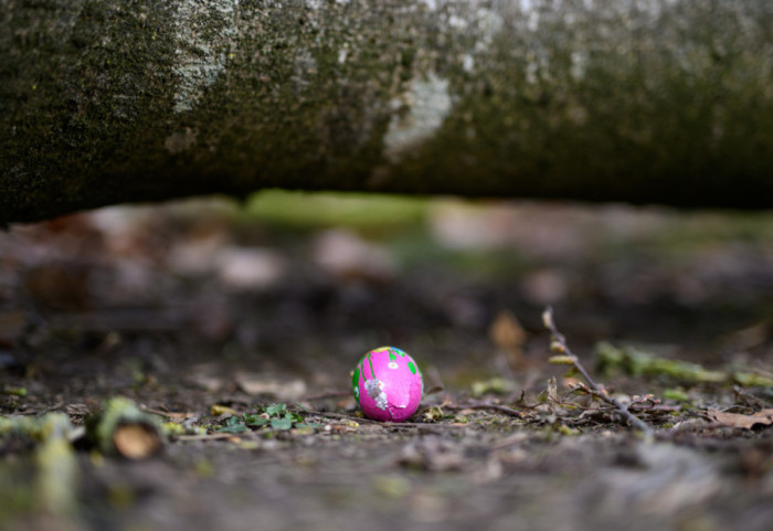 Nesreća u Nemačkoj: Poginule tri osobe, među kojima i beba, tokom proslave Uskrsa u šumi