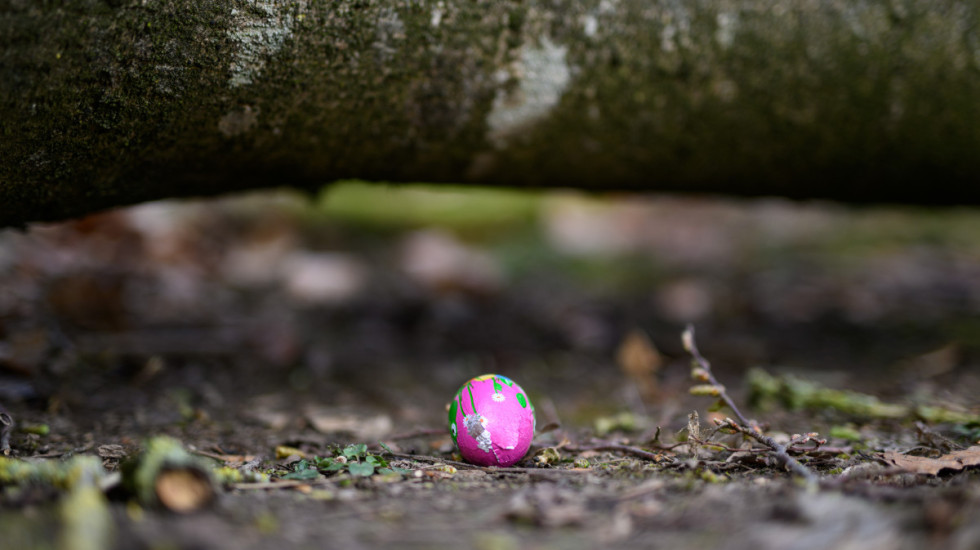 Nesreća u Nemačkoj: Poginule tri osobe, među kojima i beba, tokom proslave Uskrsa u šumi