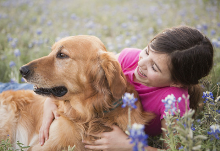 Koji psi su najbolji izbor za porodice sa decom: Temperament i vaspitanje ključni