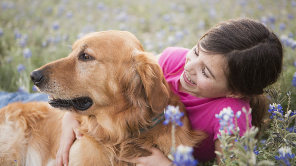 Koji psi su najbolji izbor za porodice sa decom: Temperament i vaspitanje ključni
