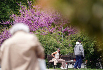 Temperatura letnja: Sunčano i toplo vreme u Srbiji, na jugu i istoku zemlje moguće kiša i grmljavina