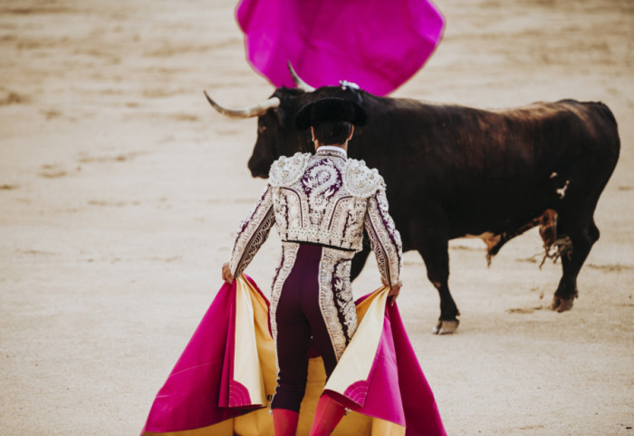 Matador teško povređen u Sevilji: Bik ga ubo tokom borbe