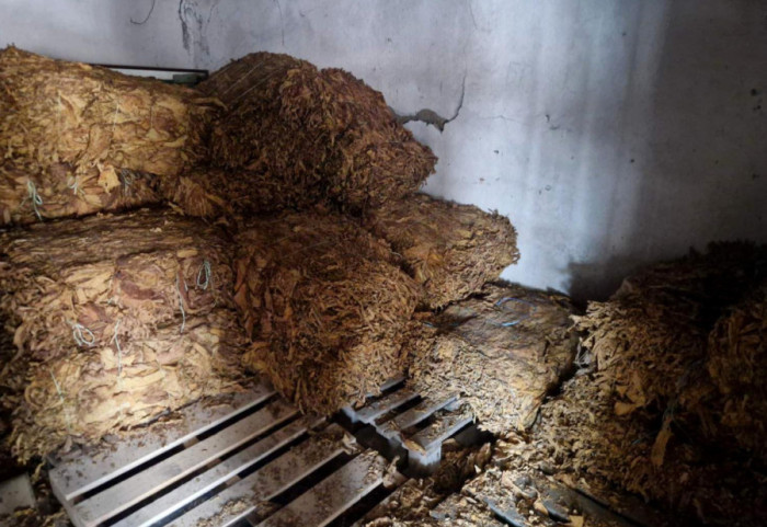 (FOTO) Nađeno oko 500 kilograma duvana u Rumi: Muškarac (66) oštetio budžet Srbije za četiri miliona dinara