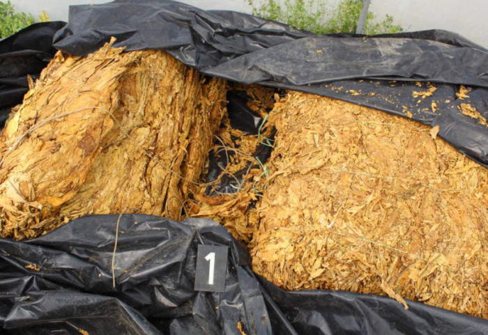 (FOTO) Prijava protiv dvojice muškaraca iz Rume: Policija u stanu pronašla više od 750 kilograma duvana