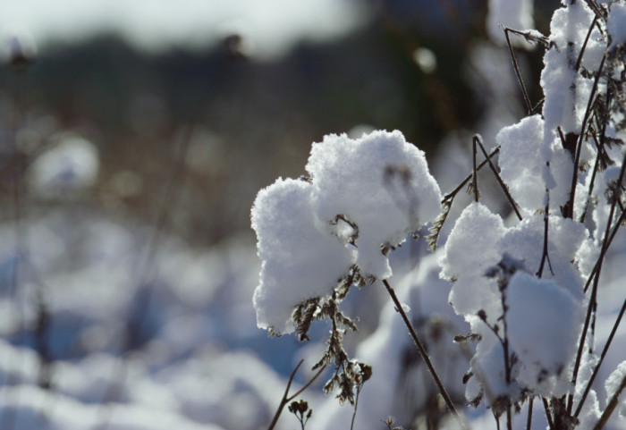 Nagli pad temperature u aprilu: Minus na Kopaoniku, sneg na Zlatiboru i u Sjenici