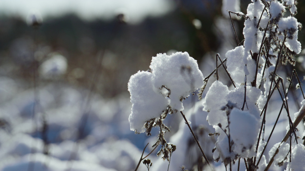 Nagli pad temperature pred Prvi maj: Minus na Kopaoniku, sneg na Zlatiboru i u Sjenici