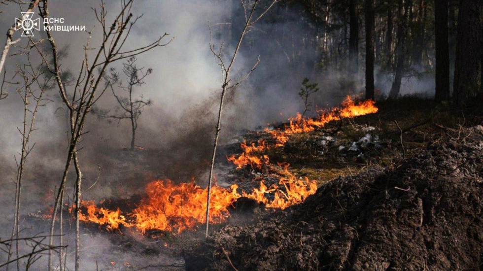Veliki požar u Černobiljskoj zoni: Vatra zahvatila 1.200 hektara šume
