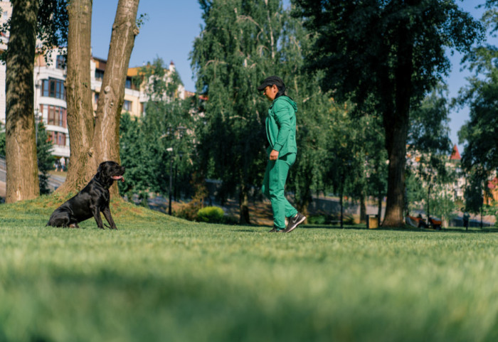 Prelaze li granicu vlasnici koji ne čiste izmet za ljubimcima ili građani koji ih snimaju i upozoravaju