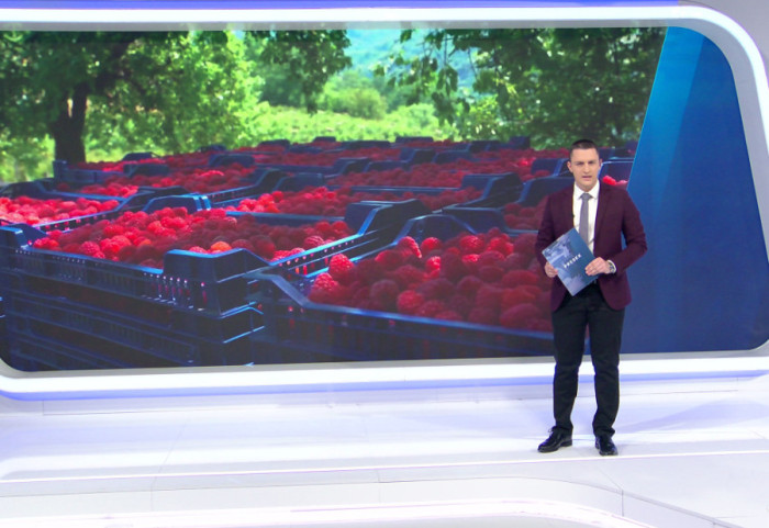 Od "crvenog zlata" do trećeg mesta: Zašto Srbija više nije lider u proizvodnji maline