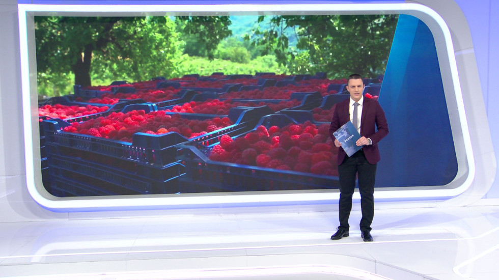 Od "crvenog zlata" do trećeg mesta: Zašto Srbija više nije lider u proizvodnji maline